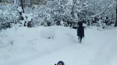 Two boys and a dog