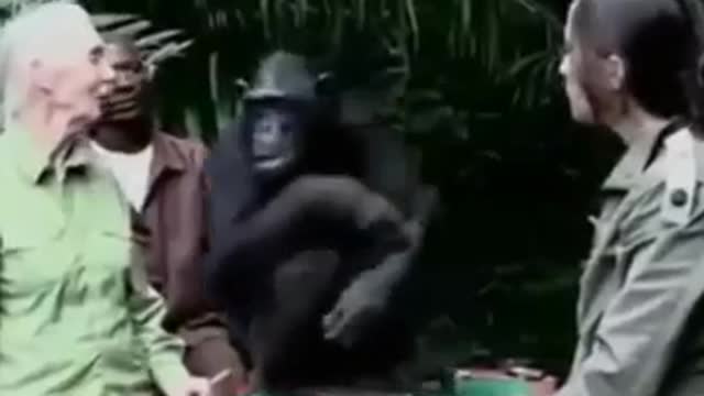 Unbelievable Friendship! People and Wild Animals, Amazing!.mp4