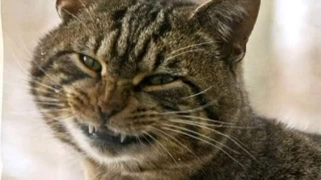 Someone says to Márcia 😂😂