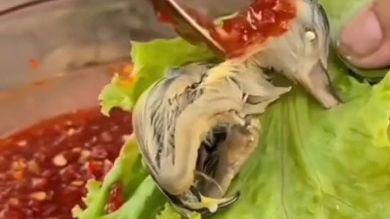 Woman eats baby duck for lunch