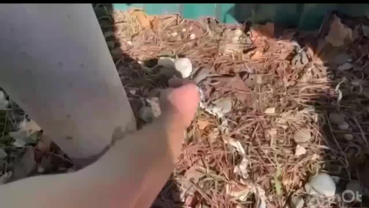 В Абхазии задержаны таджики подозреваемые распространении наркотиков