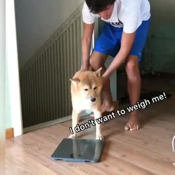 When you don’t want to weigh yourself