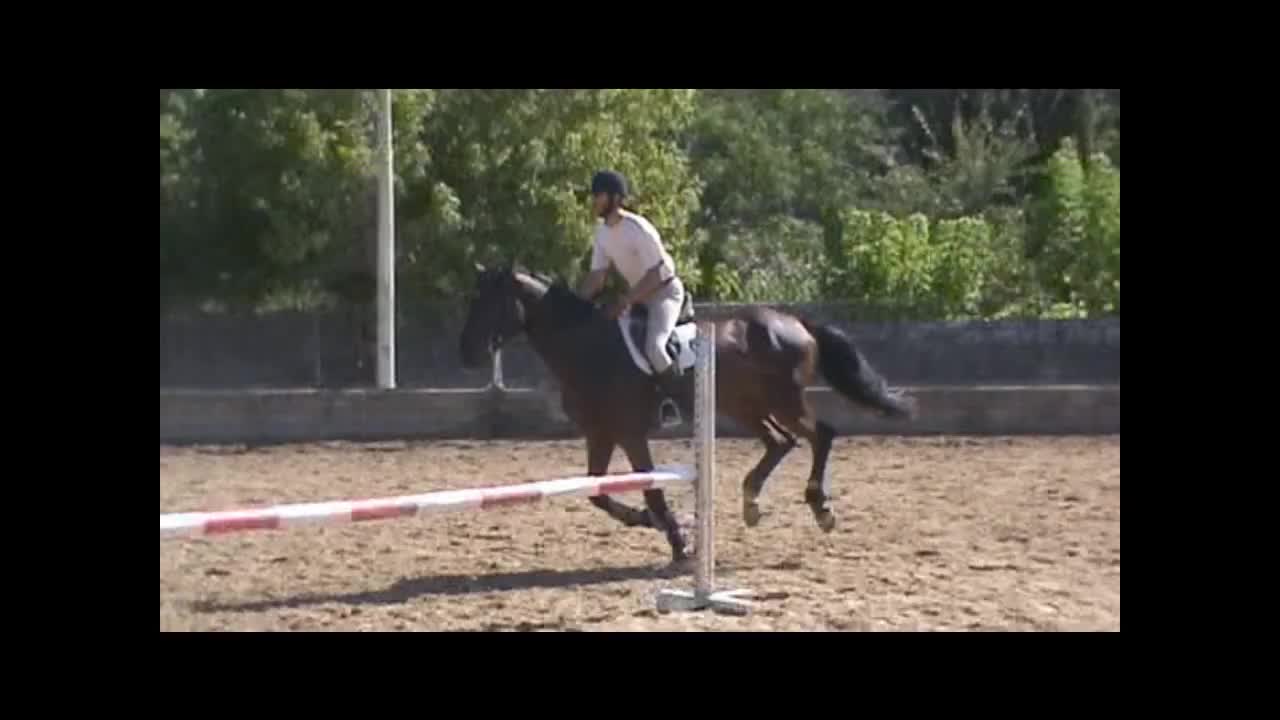 Horse Jumping exercise during Colonnello Paolo Angioni clinic