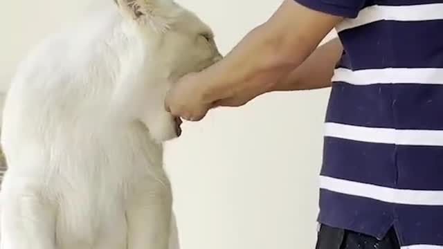 #short