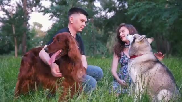 TOP 10 Differences Between Male And Female Dogs