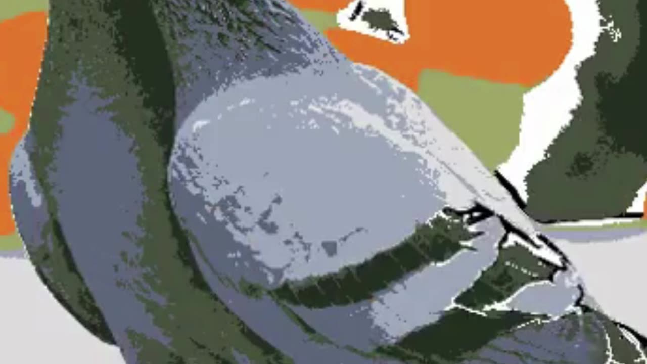 Mastering Bird Shapes Drawing Made Simple