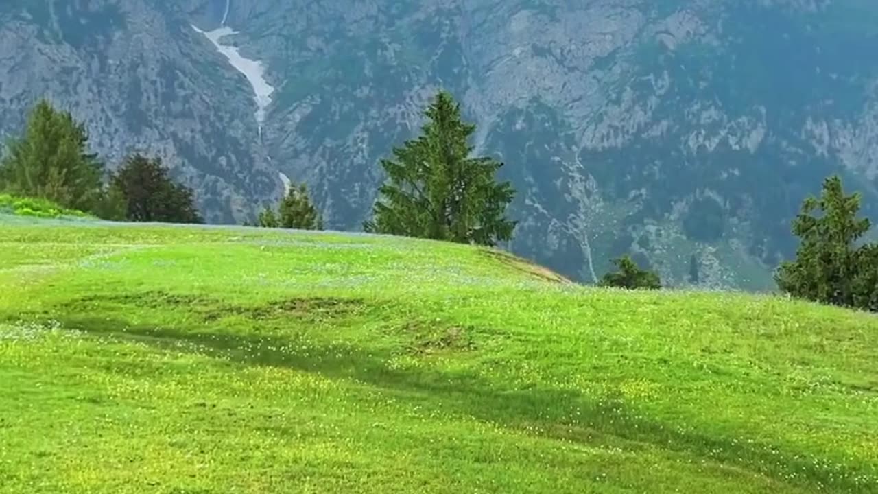 Meadow's of Swat Valley, kpk, Pakistan