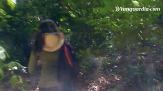 Video de nuevas especies en el departamento de Santander