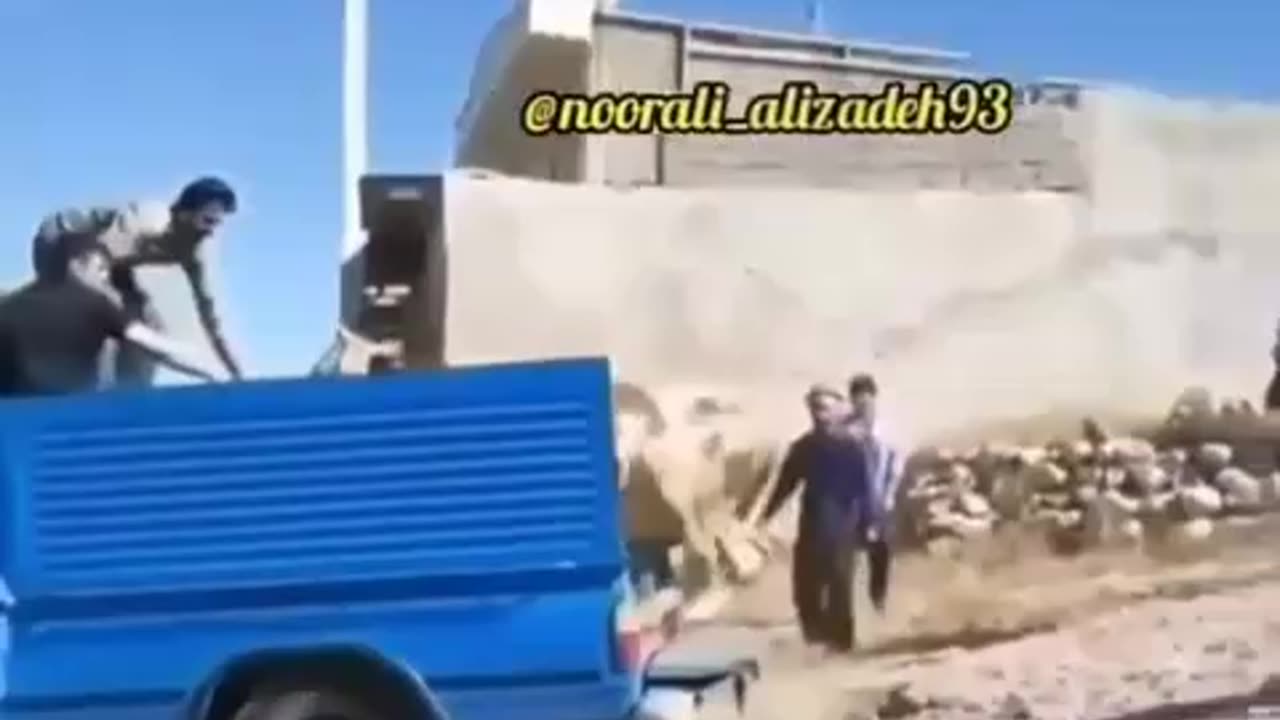 گاو های ایرانی و خارجی🤣🤣