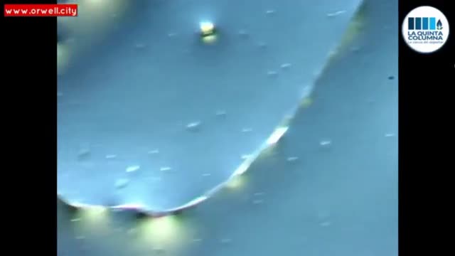 20220209_[펌] [Korean people Unitied] 화이자- 계속 자라나는 마이크로 튜브(소관)