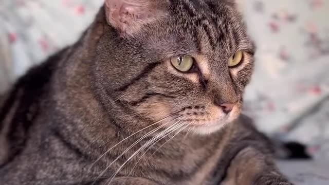 "Send this to someone who needs some extra encouragement today ❤️ You will get through this."