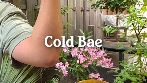 Cold Bae