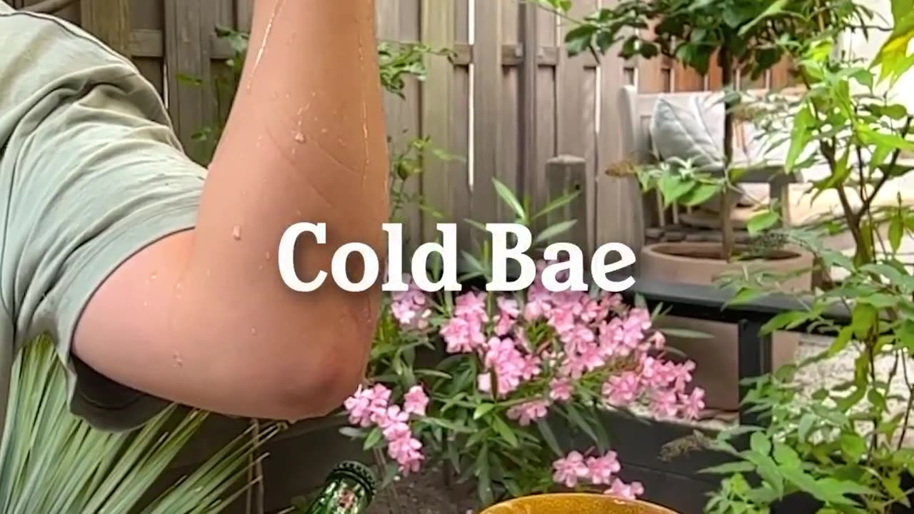 Cold Bae