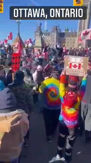 On the ground in Ottawa January 29 afternoon