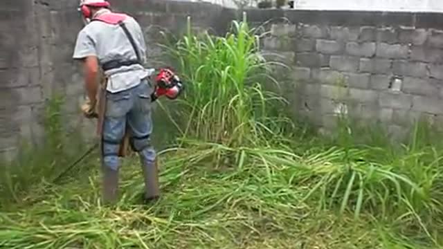 grass cutting machine cutting grass v fastily around the homes