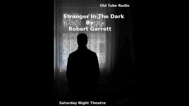 Stranger in the Dark by Robert Garrett