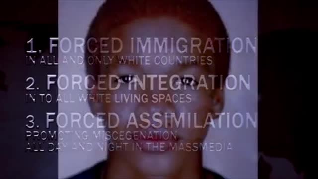 Genocída bielych v Európe