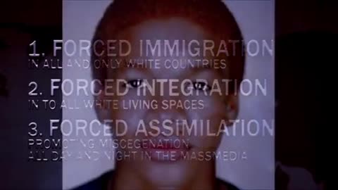 Genocída bielych v Európe