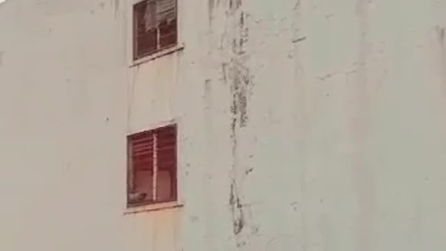 Anime Intro