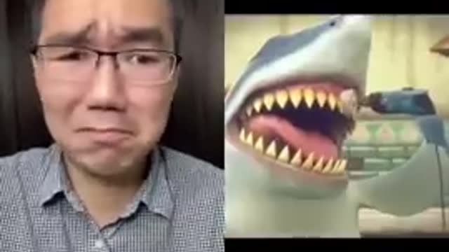 Funny shark expression