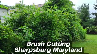 Brush Cutting Sharpsburg Maryland Landscape Contractor