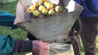 Apple Crusher