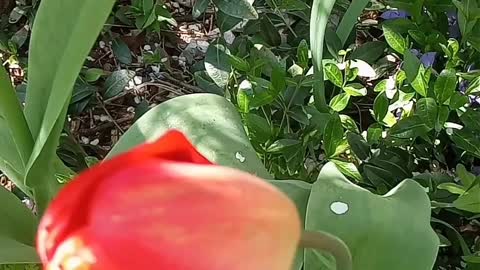 Весна.природа оживает.
