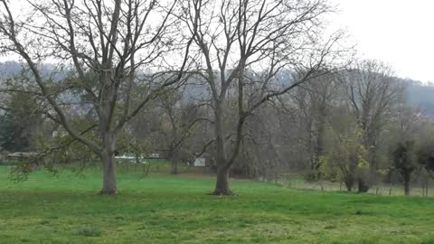 Promenade Roclenge Boirs Bassenge