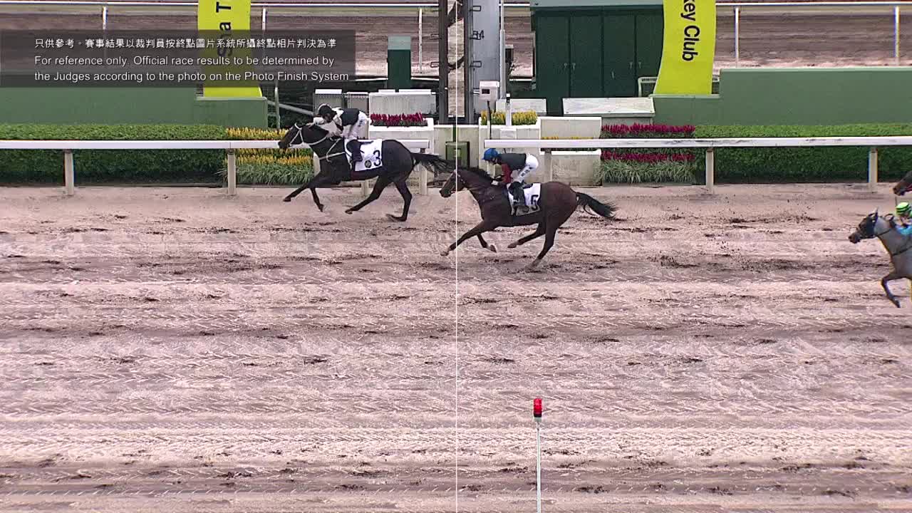 Horse_Race_2022061207_Chinese