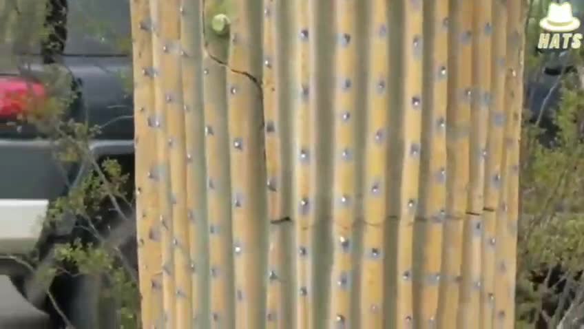 HIDING the killing technology, WHY?