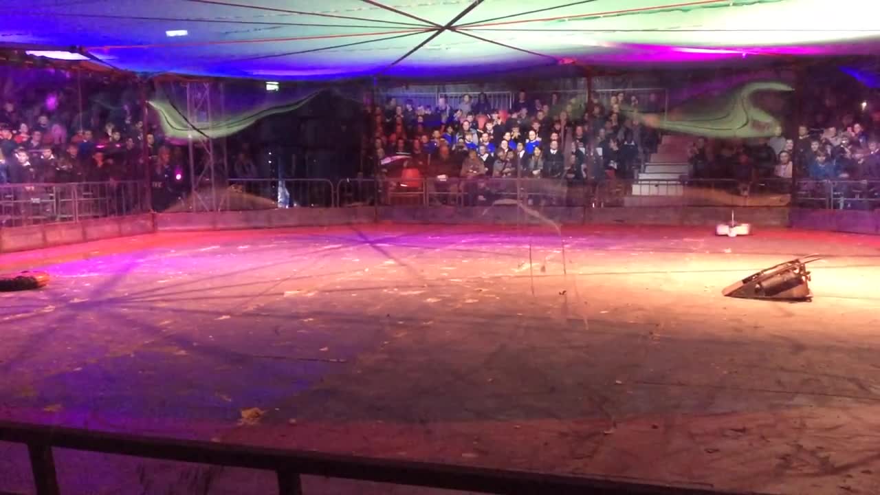 Roboriots BT Young Scientist Dublin 2018: Featherweight Rumble 1