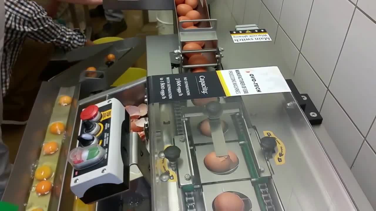 WHAT A SATISFYING VIDEO!!! Single row egg breaker