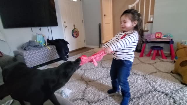 Toddler vs Dog Battles wage on!