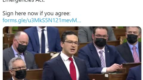 MP Pierre Poilievre's speech in Parliament on 20th of February