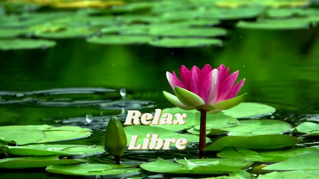 Music to Relax and [restore energies]