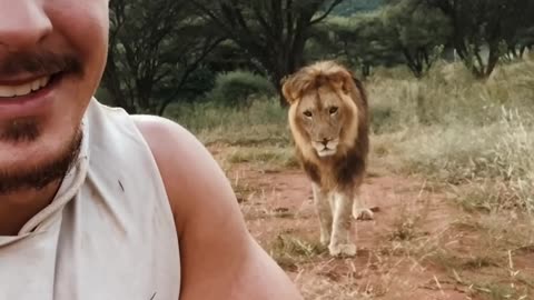 NEVER TURN YOUR BACK ON A LION☝🏼😂❤️🦁
