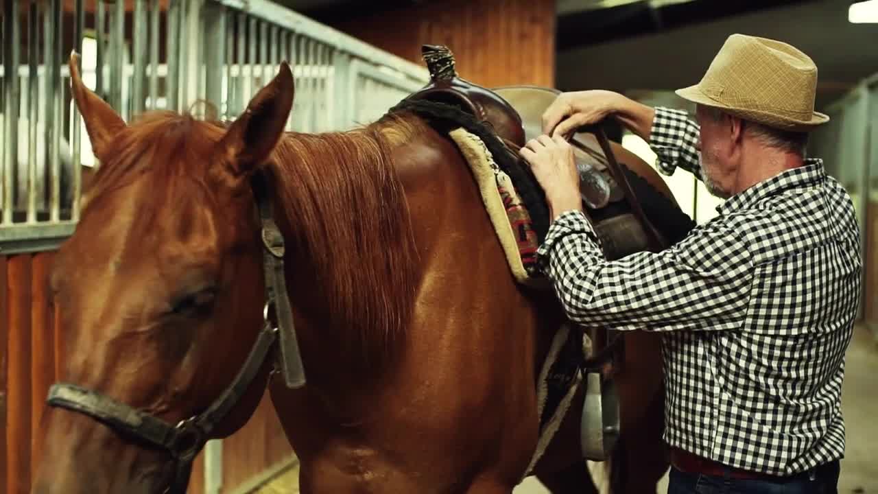 A senior man with a hat putting a saddle on a horse in a stable