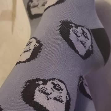 Poe socks