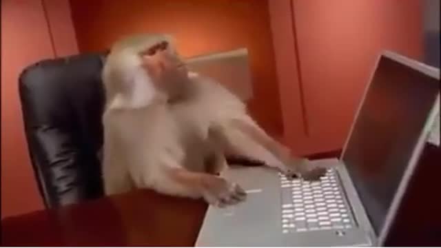 advanced monkey gamer