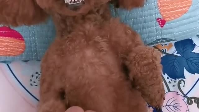 He seems a little angry
