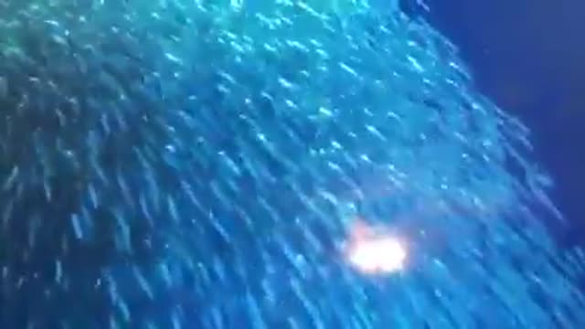 Time with God - April 28