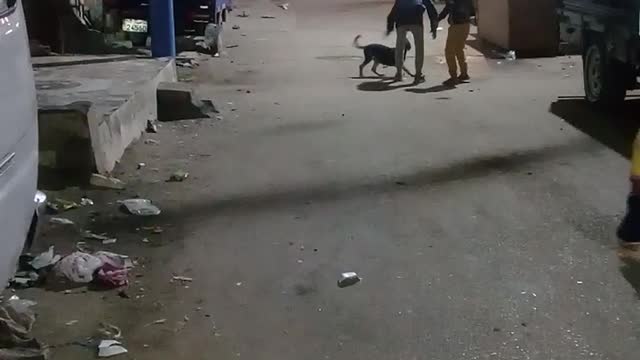 I went to this dog to shoot, and it pounced on and was about to bite me. Watch what happened now
