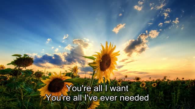 Draw Me Close [with lyrics]