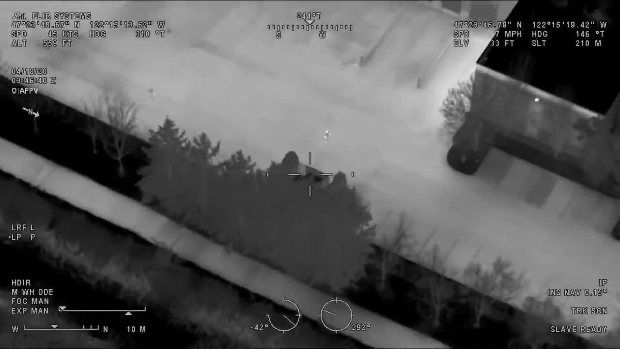 Night Vision Police Pursuit... PIT and Foot Bail Leads To Hide n Seek