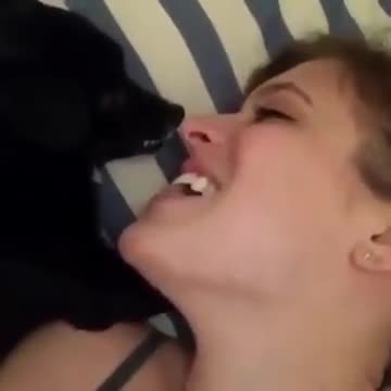 Affectionate puppy kkkkk