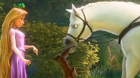 Zoil Afridi The Animated