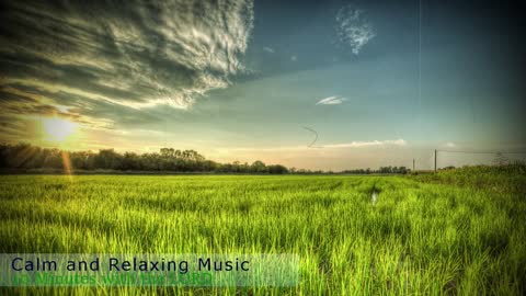 Relaxing Music | Sleeping, Meditation, Stress Relief | [809] ⭐️