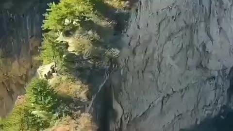 Mesmerizing Nature Bridge