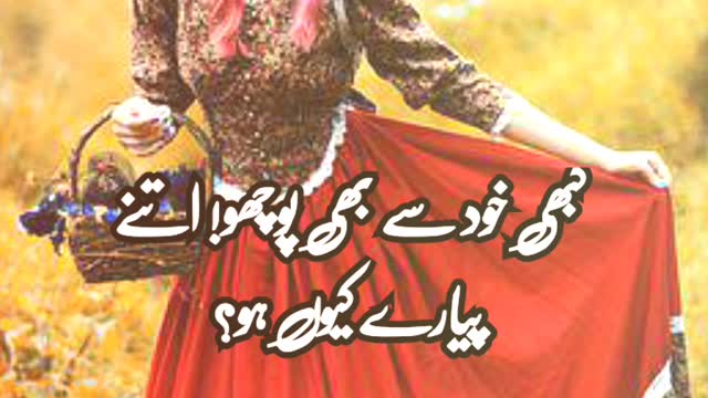 Ham hi ko | poetrystatus | deeplines | poetrylover #urdupoetry #foryou #viral