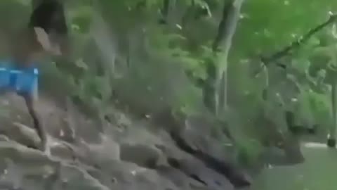 This is a beautiful and charming water-dwelling species